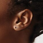 14k White Gold 3mm Round January/Garnet Stud Earrings - Image 3