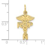 10k Registered Nurse Practitioner Charm - Image 3