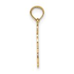 10K 100% AQUARIUS Zodiac Charm - Image 2