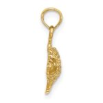 10K 2-D  Textured Gold Fish Charm - Image 2