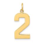 10k Large Polished Number 2 Charm