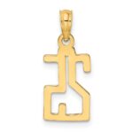 10K Number 25 Pendant - Image 4