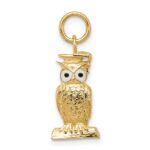 14K Enameled Graduation Owl Charm