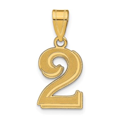14k Polished Etched Number 2 Pendant