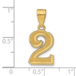 14k Polished Etched Number 2 Pendant - Image 4