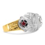 IBGoodman 14k Two-tone Men's Polished and Textured Double Eagle Masonic Shriner's Ring Mounting - Image 9