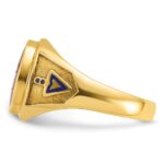 IBGoodman 14k Men's Polished and Textured with Blue Enamel and Lab Created Ruby Blue Lodge Master Masonic Ring - Image 3