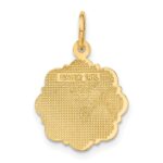 14k RN Registered Nurse Textured Back Disc Charm - Image 3