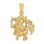 14k Large Aquarius Zodiac Charm