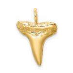 14K Shark Tooth Pendant - Image 4