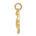 14k Cheetah Charm - Image 2