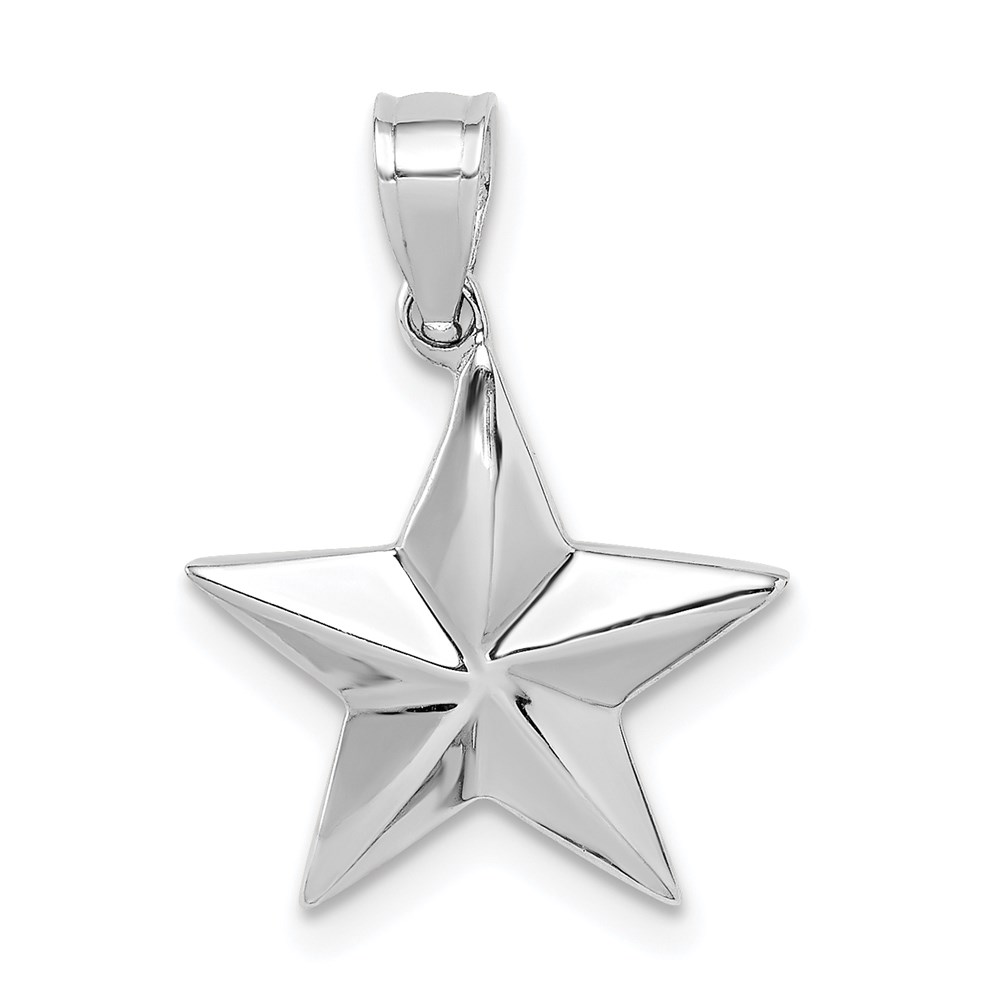 D4584.jpg 14K White Gold Polished Star Pendant - Image 1