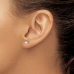 14k White Gold 1/3 carat Lab Grown Diamond VS/SI+ G+ Round Complete Three Prong Screwback Stud Earrings - Image 3