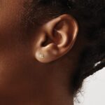 14k 1/4 carat Lab Grown Diamond VS+ F+ Princess Complete Four Prong Stud Earrings - Image 3