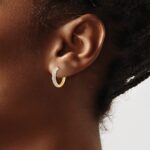 10k Diamond Complete Hinged Hoop Earrings - Image 3