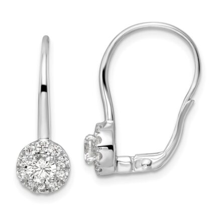 14k White Gold 1 carat Lab Grown Diamond VS/SI+ G+ Complete Drop Leverback Earrings