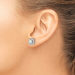 14k White Gold 3/8 carat Lab Grown Diamond VS/SI+ G+ October Birthstone Lab Created Opal Halo Post Earrings - Image 3