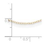 14k Madi K Cable Chain - Image 4