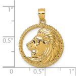 14k Polished Lion with Mane in Textured Circle Pendant - Image 4