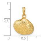 14k Medium Clam Shell Pendant - Image 3
