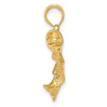 14K Gold Polished Textured Bass Fish Pendant - Image 2