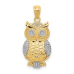 14K and White Rhodium Polished and Textured Owl Pendant