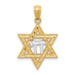 14k and White Rhodium Star of David with Chai Pendant
