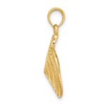 14K Textured Troca Shell Charm - Image 2