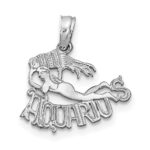 14k White Gold AQUARIUS Zodiac Charm