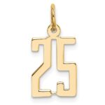 14k Small Elongated Number 25 Charm