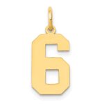 14k Medium Polished Number 6 Charm