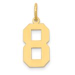 14k Medium Polished Number 8 Charm