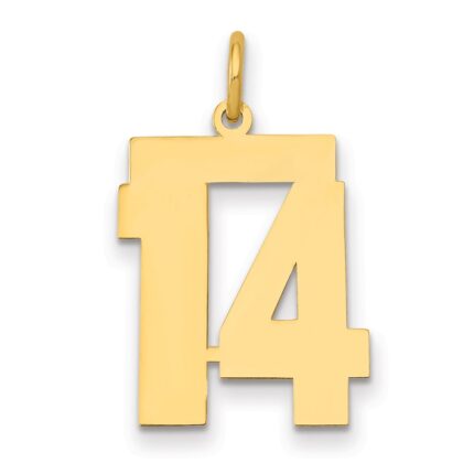14k Medium Polished Number 14 Charm