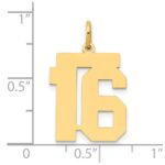 14k Medium Polished Number 16 Charm - Image 4