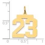 14k Medium Polished Number 23 Charm - Image 3