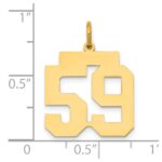 14k Medium Polished Number 59 Charm - Image 4