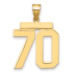 14k Large Polished Number 70 Charm