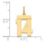 14k Small Polished Number 14 Charm - Image 4