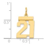 14k Small Polished Number 21 Charm - Image 4