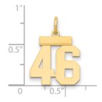 14k Small Polished Number 46 Charm - Image 2