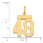 14k Small Polished Number 48 Charm - Image 4