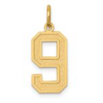 14k Medium Satin Number 9 Charm