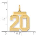 14k Medium Satin Number 20 Charm - Image 2