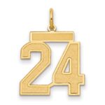 14k Medium Satin Number 24 Charm