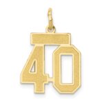 14k Small Satin Number 40 Charm