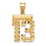 14k Medium Diamond-cut Number 13 Charm