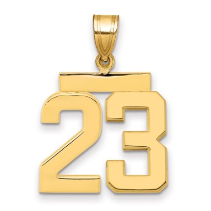 14k Medium Polished Number 23 Charm
