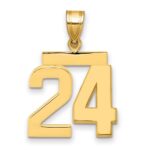 14k Medium Polished Number 24 Charm