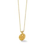 Sterling Silver Rhodium-plated Gold-tone Polished and Brushed Sand Dollar Pendant - Image 6