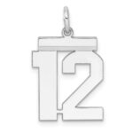 Sterling/Silver Rhodium-plated Polished Number 12 Charm